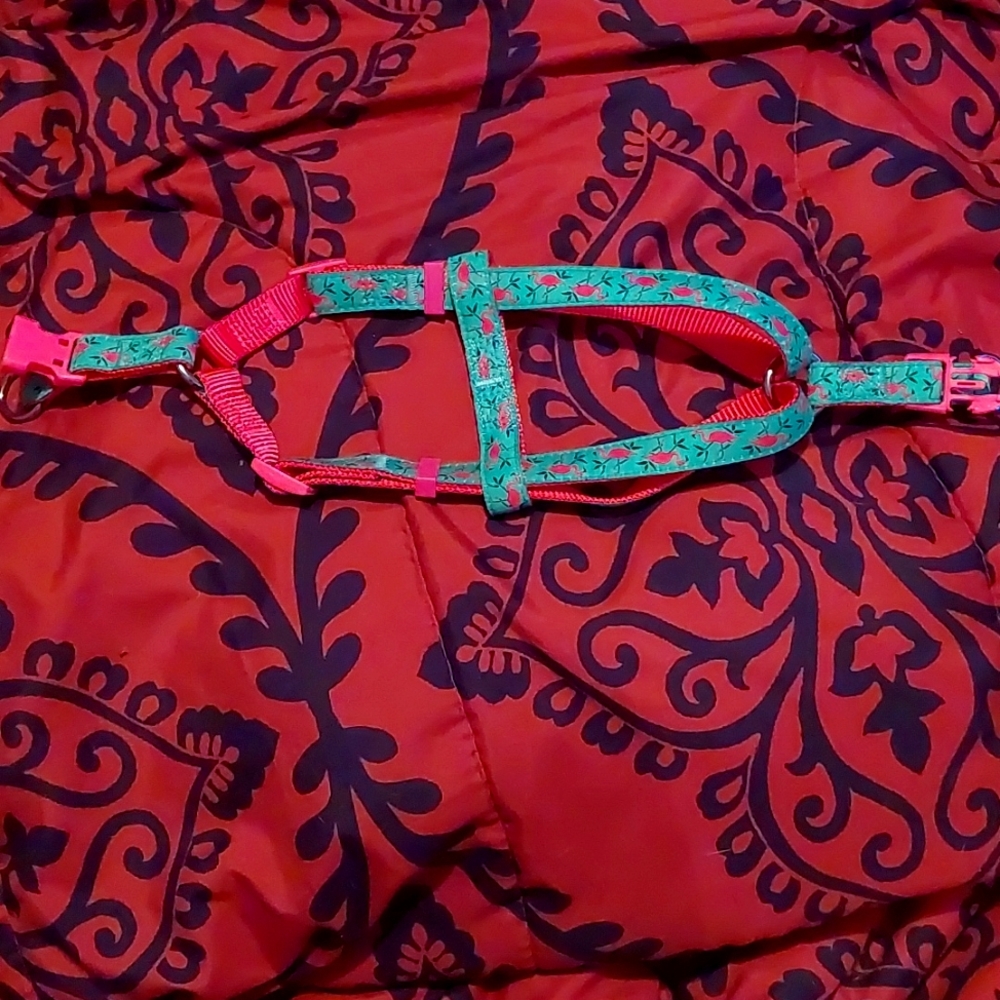 Dog Harness